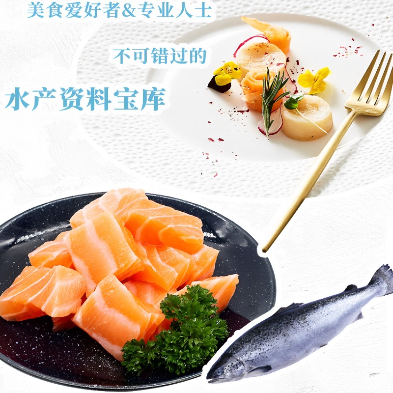 シーフード料理レシピ集 DK 300 伝統的なレシピ集 世界 - Home Cooking Recipes のレビューと価格